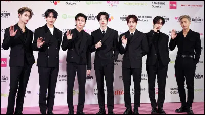 Ton style musical préféré est...