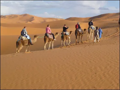 Quel est le plus grand désert du monde ?