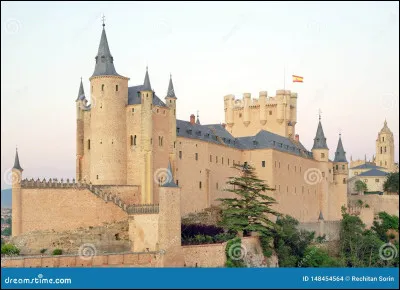 Comment dit-on "les chats" en espagnol ?