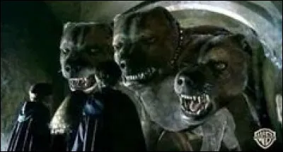 Quelle créature vous fait le plus peur ?