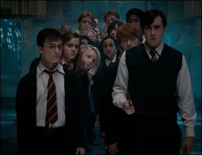 Quel est votre groupe de personnages préféré dans ''Harry Potter'' ?