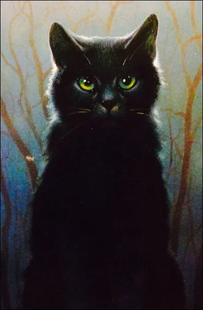 Qui est ce chat du Clan de l'Ombre ?