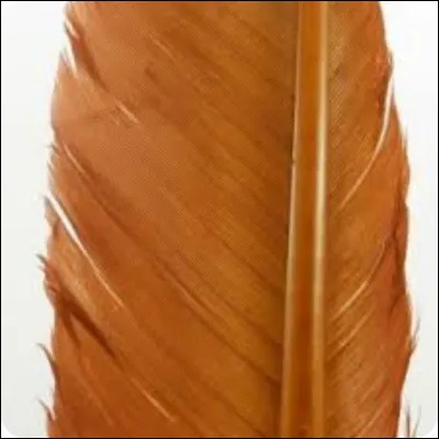 Qui est cet ancien lieutenant du Clan du Tonnerre ? Cela te fait penser à...