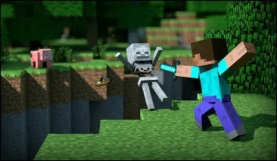 Quest-ce qui est le plus important dans ''Minecraft'' quand tu joues ?