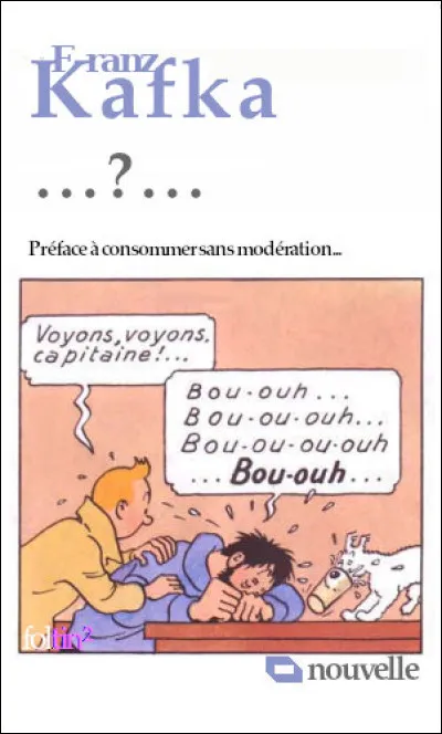 Ce récit fut publié à l'initiative de son ami Max Brod, Kafka étant contre cette idée ! Quel en est le titre ?