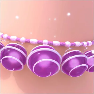 Qui a reçu l'essence du Miraculous du Cochon ?