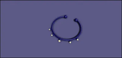 Qui a reçu l'essence du Miraculous du Buf ?