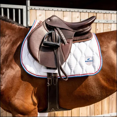 Quelle partie de la selle permet au cavalier de mieux maintenir sa position ?