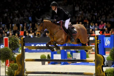 Quelle est la hauteur minimale d'un obstacle en saut d'obstacles, au niveau amateur ?