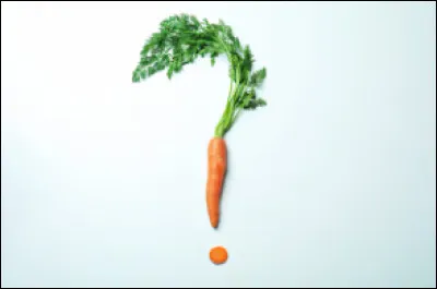 De quelle famille la carotte fait-elle partie ?