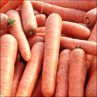 Quel animal est tr&egrave;s souvent associ&eacute; &agrave; la carotte ?