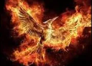 Quiz Hunger Games, srie complte !