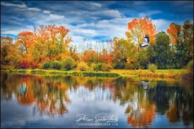 Elisabeth II est décédée en 2023 !