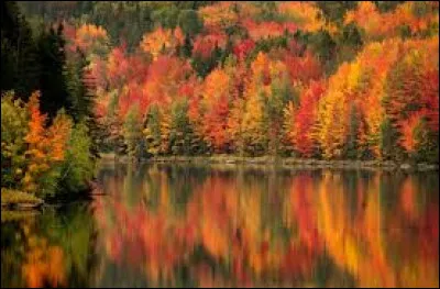 Une tonne vaut 100 kg !