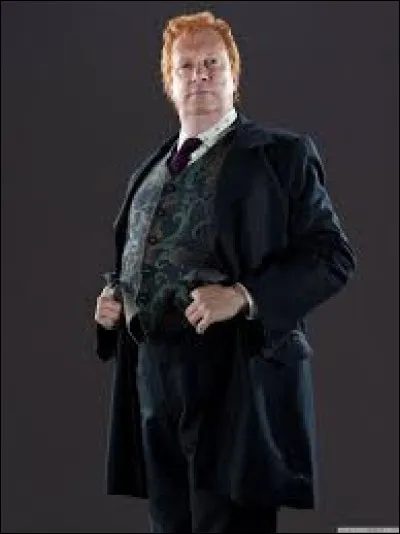 Laquelle de ces questions a été dite par Arthur Weasley ?
(À peu de mots près...)