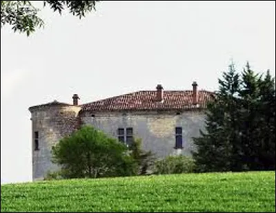 Je vous propose de rester dans le Lauragais et de partir à la découverte du château de Roquevidal. Village de l'arrondissement de Castres, il se situe dans le département ...