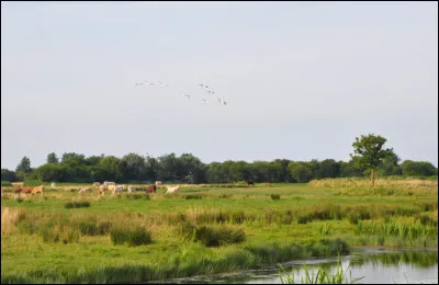 Quelle est ce petit pays situé dans le nord-ouest du département autour de la ville de Bayeux et bordé par la Manche ?