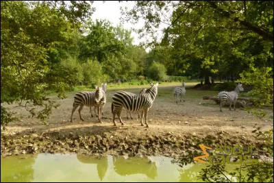Quel est ce vaste parc zoologique de 80 ha, situé près de Lisieux, qui accueille 300 000 visiteurs par an ?