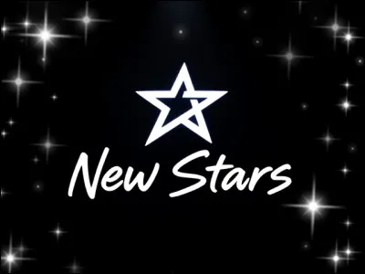 Vous vous décrivez plutôt comme...