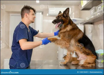 La raison du plus fort, c'est le...