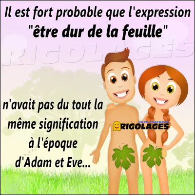 Les mots sont : Vert / Terre / Pin, pour trouver...