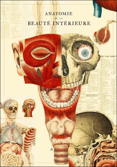 Voici trois mots : Voile / Dessin / Pain, il faut deviner...