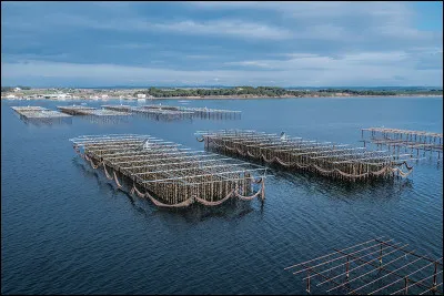 Quel est cet &eacute;tang de 75 km&sup2;, lagune s&eacute;par&eacute;e du golfe du Lion par un cordon de sable littoral, connu pour l'importante production d'hu&icirc;tres et de moules ?