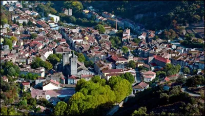 Quel est ce bourg, situ&eacute; dans la vall&eacute;e du Jaur en bordure de la Montagne Noire, connu pour sa cath&eacute;drale &eacute;difi&eacute;e aux XIIe et XIIIe ?