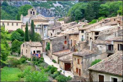 Quel est ce village situ&eacute; dans la vall&eacute;e de l'H&eacute;rault, connu pour l'ancienne abbaye de Gellone et son clo&icirc;tre ?