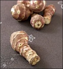 Le topinambour est riche en glucides. Champion toutes catgories de la teneur en fibres