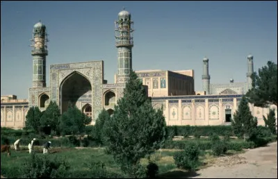 Dans quel pays se trouve Herat, ville de 500 000 habitants ?