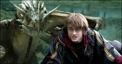 Dans le film "Harry Potter et la Coupe de feu", quel est le dragon que doit affronter Harry lors d'une épreuve ?