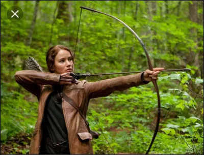 Comment Katniss a-t-elle gagné les 74e Hunger Games ?