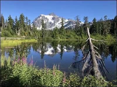 Quel est ton look préféré pour une journée ordinaire ?