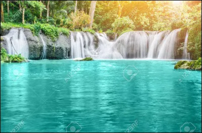 Comment te décriraient tes amis ?