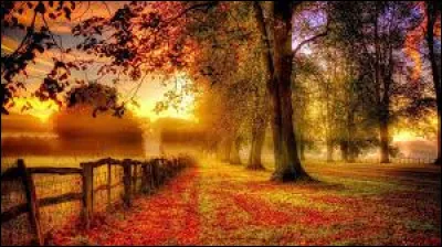 Chicago est la plus grande ville de l'Illinois !