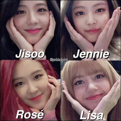 Qui est ta bias ? (2)