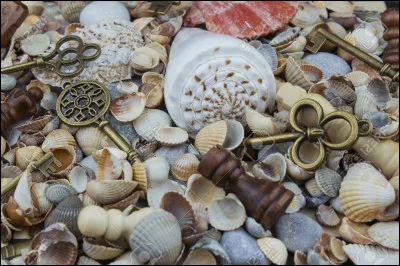 Quel objet te plaît le plus ?