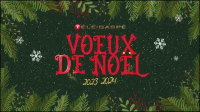 Si tu avais un vu à exaucer, tu demanderais :