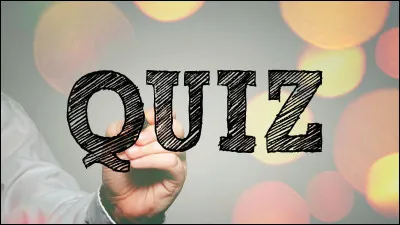 Quel est le but des quiz QCM ?