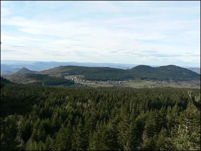 Une roncone était une arme, du genre...