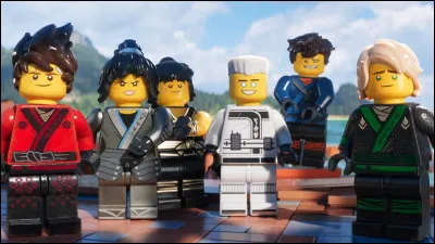 Comment s'appelle le ninja blanc ?