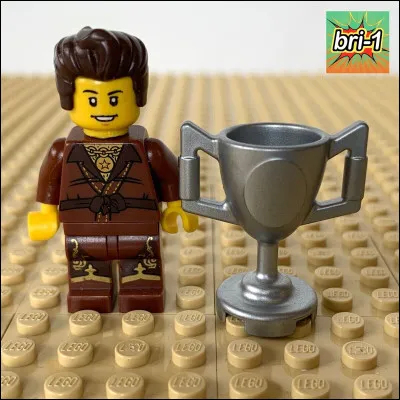 Comment s'appelle le ninja brun ?