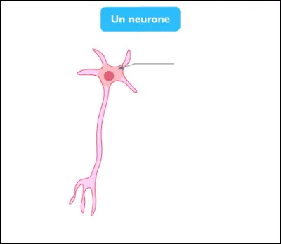 Comment s'appellent les fourches en bas de l'image ?