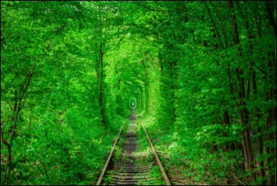 Si je vous dis "énigmatique", vous me répondez...