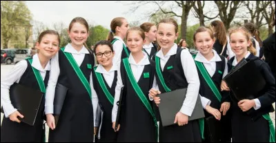 Chaque niveau a une couleur. Par exemple sur la photo ce sont les sixième.
Quelle est la couleur des cinquième ?