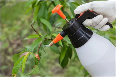 Quel est le nom du produit phytosanitaire conçu pour éliminer ou limiter le développement des champignons parasites des végétaux ?