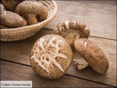 Quel est le nom de ce champignon originaire d'Extrême-Orient ?