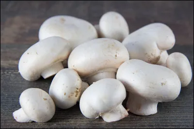 Quel est l'autre nom du champignon de Paris ?