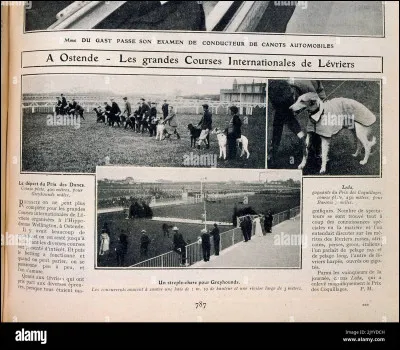 En Grande-Bretagne, les courses de "greyhounds" sont des courses de lévriers.